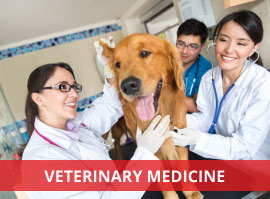 study veterinary medicine in europe