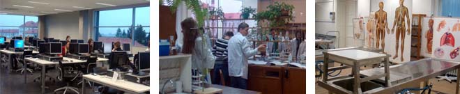 instituto-investigacion-kaunas
