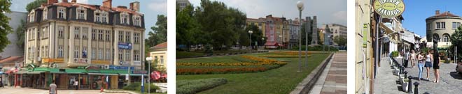 ocio-pleven